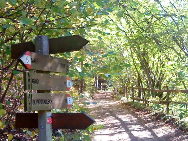 Tinnerhof Appiano Sulla Strada Del Vino Exterior foto